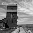 Last One Standing at Wood Mountain, Saskatchewan